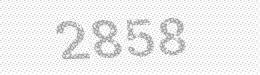 Visual security code — type the characters shown in the image