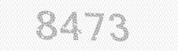 Visual security code — type the characters shown in the image